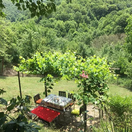 Arnika Guest house Trun